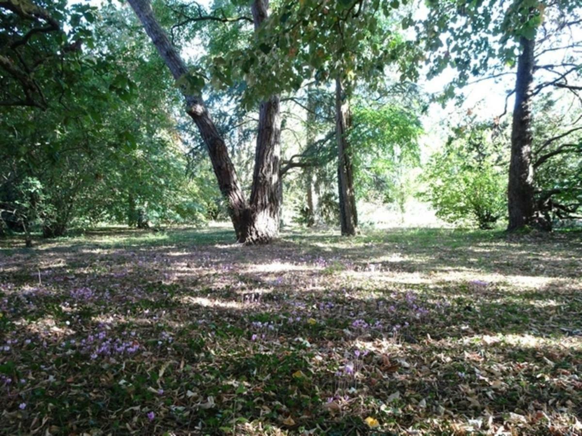 Bois Logis Villa Blere Buitenkant foto